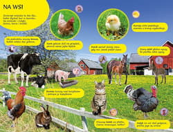 Galeria - zdjęcie nr. 3 - 50 dźwięków Zwierzęta wokół nas