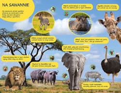 Galeria - zdjęcie nr. 4 - 50 dźwięków Zwierzęta wokół nas