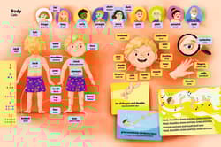 Galeria - zdjęcie nr. 2 - 500 słów i zwrotów Angielski słowniczek obrazkowy Część 1 Seria z piórem Kakadu