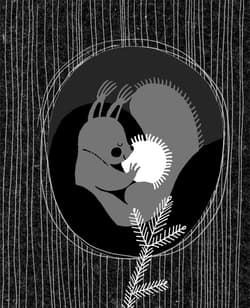 Galeria - zdjęcie nr. 2 - 8 + 2 i pierwsze święta