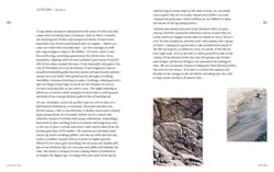 Galeria - zdjęcie nr. 5 - A Crochet Year