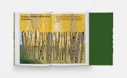 Galeria - zdjęcie nr. 2 - A Family of Trees. My First Book of Forests