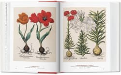 Galeria - zdjęcie nr. 4 - A Garden Eden. Masterpieces of Botanical Illustration. 40th Ed. wer. angielsko-francusko-niemiecka