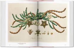 Galeria - zdjęcie nr. 2 - A Garden Eden. Masterpieces of Botanical Illustration. 40th Ed. wer. angielsko-francusko-niemiecka