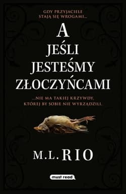 A jeśli jesteśmy złoczyńcami - M.L. Rio