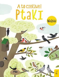 A to ciekawe! Ptaki - Opracowanie Zbiorowe