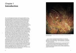 Galeria - zdjęcie nr. 4 - Aboriginal Art wer. angielska