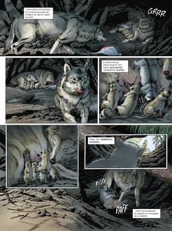 Galeria - zdjęcie nr. 4 - Adaptacje literatury Biały Kieł