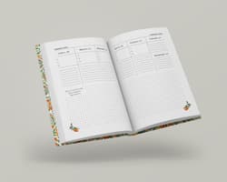 Galeria - zdjęcie nr. 4 - AGENDA 2026 Zaplanuj swój rok po hiszpańsku. Poziom podstawowy A1-A2