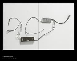 Galeria - zdjęcie nr. 2 - Ai Weiwei on Censorship