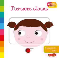 Akademia mądrego dziecka. Pierwsze słowa. Zestaw 3 (Moje ciało, ubrania, zmysły) - Nathalie Choux