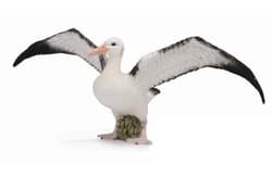 Albatros wędrowny