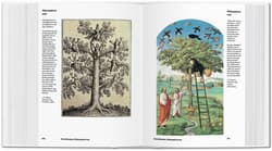 Galeria - zdjęcie nr. 4 - Alchemy & Mysticism wer. angielska