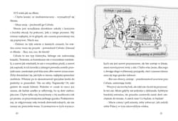 Galeria - zdjęcie nr. 2 - Ale historia Zygmuncie, i kto tu rządzi?
