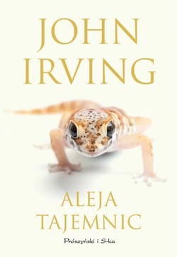 Aleja tajemnic - ebook - John Irving