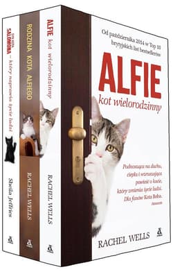 Alfie kot wielorodzinny / Rodzina kota Alfiego / Syn kota Salomona - Weells Rachel