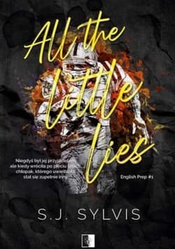 All The Little Lies - S.J. Sylvis