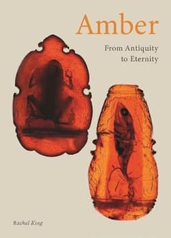 Amber. From Antiquity to Eternity - Rachel King