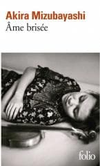 Ame brisee - Mizubayashi Akira