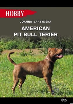 American pit bull terier - Joanna Zarzyńska