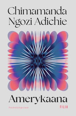 Amerykaana - Adichie Chimamanda Ngozi