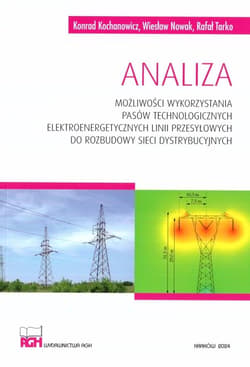 Analiza możliwości wykorzystania pasów technolog. - Konrad Kochanowicz, Rafał Tarko