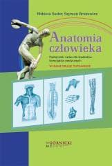 Anatomia człowieka Podręcznik i atlas dla... w.2 - Suder Elżbieta,  Brużewicz Szymon
