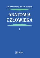 Anatomia człowieka T.1 - Adam Bochenek, Michał Reicher