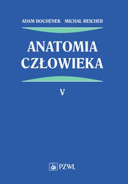 Anatomia człowieka T.5 - Adam Bochenek, Michał Reicher