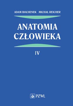 AnaTomia człowieka. Tom 4 - Adam Bochenek, Michał Reicher
