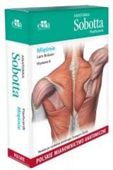 Anatomia Sobotta Flashcards. Mięśnie wyd.8 - Brauer Lars