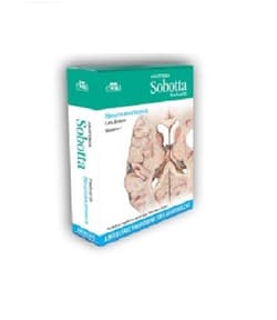 Anatomia Sobotta Flashcards. Neuroanatomia. Angielskie mianownictwo anatomiczne - Bräuer L.