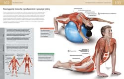 Galeria - zdjęcie nr. 2 - Anatomia stretchingu 50 podstawowych ćwiczeń wzmacniających i zwiększających elastyczność