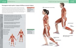 Galeria - zdjęcie nr. 5 - Anatomia stretchingu 50 podstawowych ćwiczeń wzmacniających i zwiększających elastyczność
