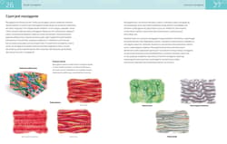 Galeria - zdjęcie nr. 4 - Anatomia stretchingu 50 podstawowych ćwiczeń wzmacniających i zwiększających elastyczność