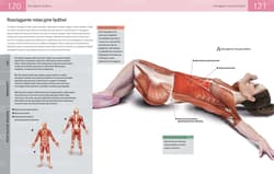 Galeria - zdjęcie nr. 3 - Anatomia stretchingu 50 podstawowych ćwiczeń wzmacniających i zwiększających elastyczność