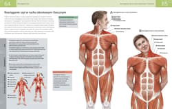Galeria - zdjęcie nr. 2 - Anatomia stretchingu 50 podstawowych ćwiczeń wzmacniających i zwiększających elastyczność