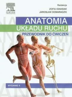Anatomia układu ruchu. Przewodnik do ćwiczeń