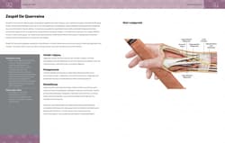 Galeria - zdjęcie nr. 2 - Anatomia urazów sportowych