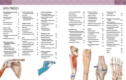 Galeria - zdjęcie nr. 3 - Anatomia urazów sportowych