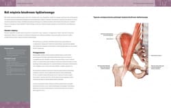 Galeria - zdjęcie nr. 4 - Anatomia urazów sportowych