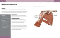 Galeria - zdjęcie nr. 3 - Anatomia urazów sportowych