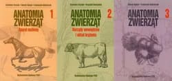 Anatomia zwierząt T.1-3 - Henryk Kobryń, Franciszek Kobryńczuk