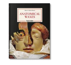 Anatomical Waxes. 45th Ed. - Poggesi Marta