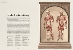 Galeria - zdjęcie nr. 5 - Anatomicum. Muzeum Anatomii wyd. 2024
