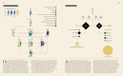 Galeria - zdjęcie nr. 3 - Ancient Rome. Infographics