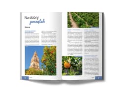 Galeria - zdjęcie nr. 3 - Andaluzja