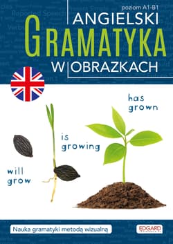 Angielski. Gramatyka w obrazkach - Opracowanie Zbiorowe