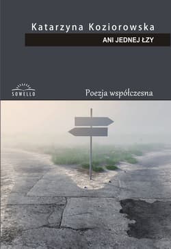 Ani jednej łzy - Katarzyna Koziorowska