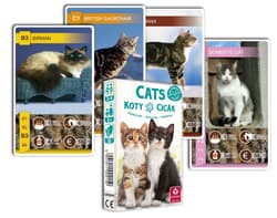 Galeria - zdjęcie nr. 2 - Animal Trumps Cats Karty do gry